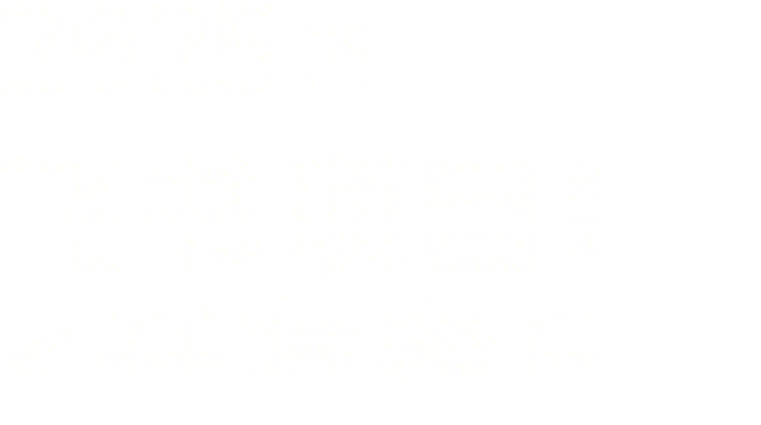 2025 飞书项目
<开发者日>