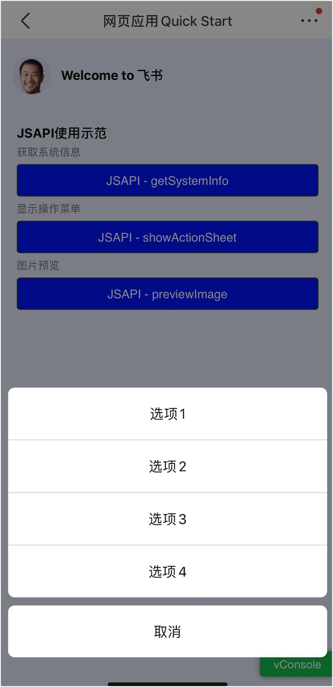 步骤四:体验效果 - 开发教程 - 飞书开放平台